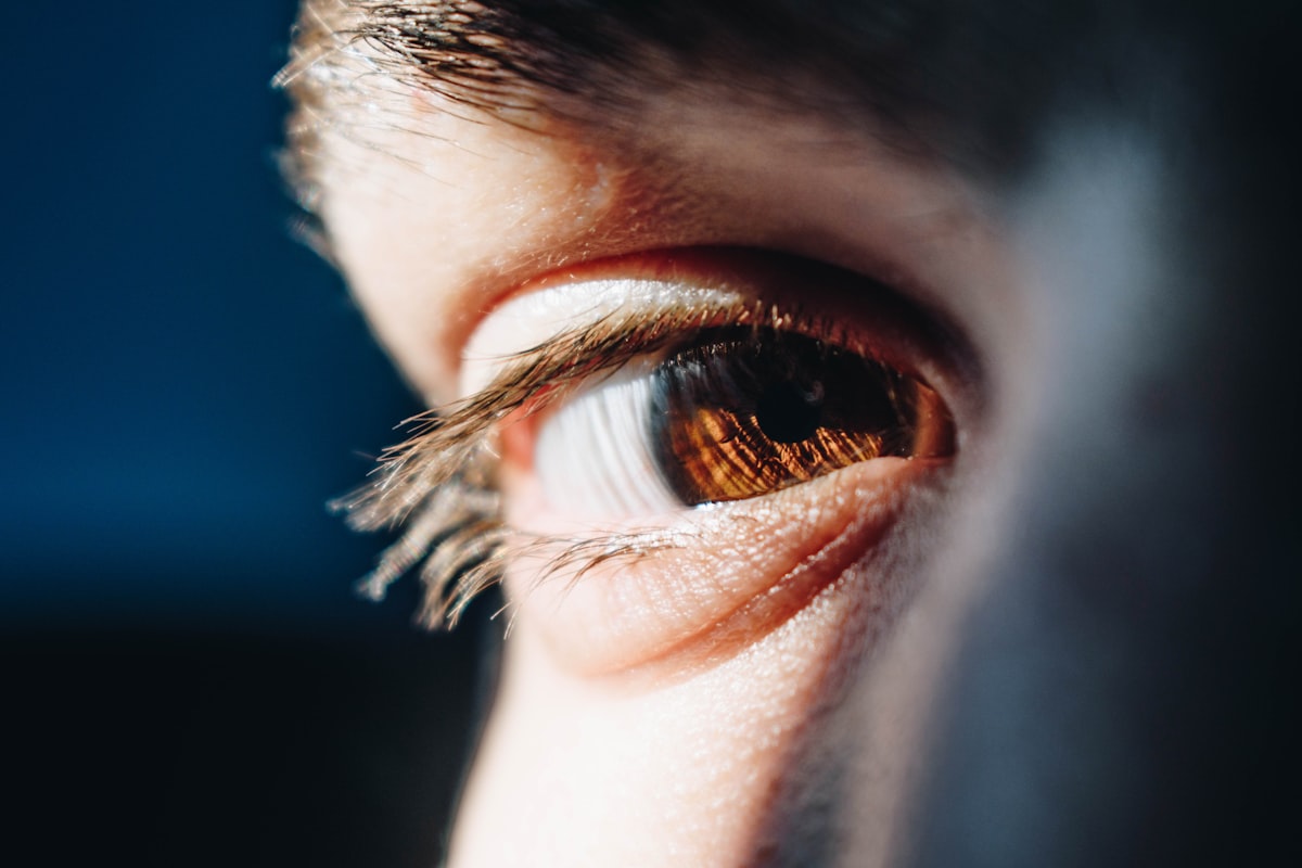 Anatomia da pele sob os olhos